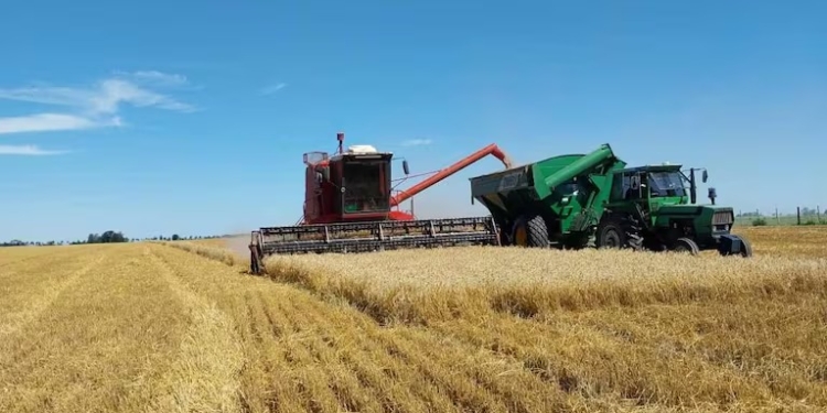 El Gobierno Nacional bajó las retenciones y lo celebran productores de la región