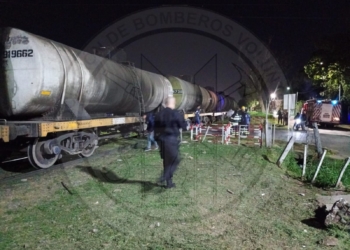 Una mujer fue impactada por un tren al querer salvar la vida de su perro: ambos murieron