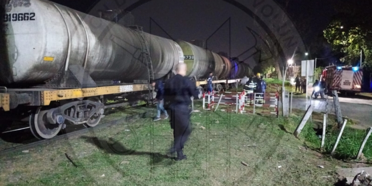 Una mujer fue impactada por un tren al querer salvar la vida de su perro: ambos murieron