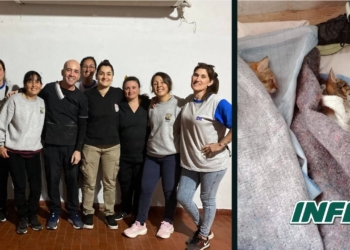 Más de 70 animales castrados en Puerto Gaboto tras dos jornadas exitosas