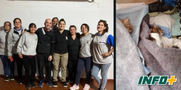 Más de 70 animales castrados en Puerto Gaboto tras dos jornadas exitosas