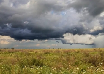 Llega «Santa Rosa» a la región: alerta por tormentas para sábado y domingo