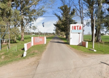 Buscan personal de apoyo en el área ganadera del campo de la EEA INTA Oliveros