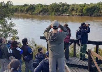 El Parque Nacional Islas de Santa Fe invita a una jornada de avistaje de aves en Puerto Gaboto