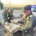 Totoras: Gendarmería rescató más de 160 tortugas y aves protegidas en un operativo sobre Ruta 34