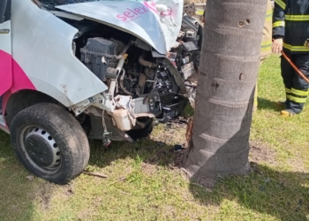 Un utilitario se estrelló contra una palmera en el ingreso a Arocena