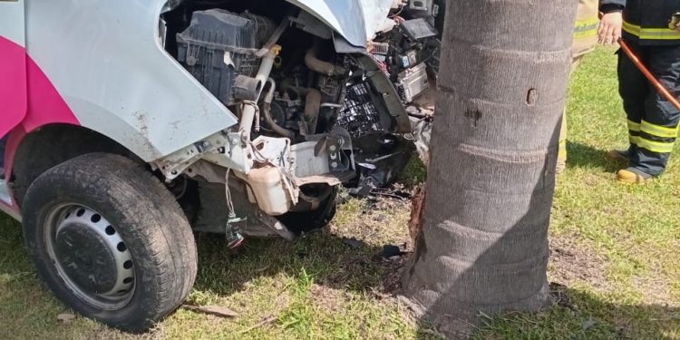 Un utilitario se estrelló contra una palmera en el ingreso a Arocena