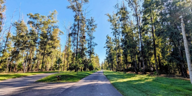 La compra de un terreno en Oliveros y la conexión con una causa de narco lavado