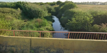 Estiman que el cuerpo hallado a la vera de Ruta 34 tiene una data de muerte de dos meses