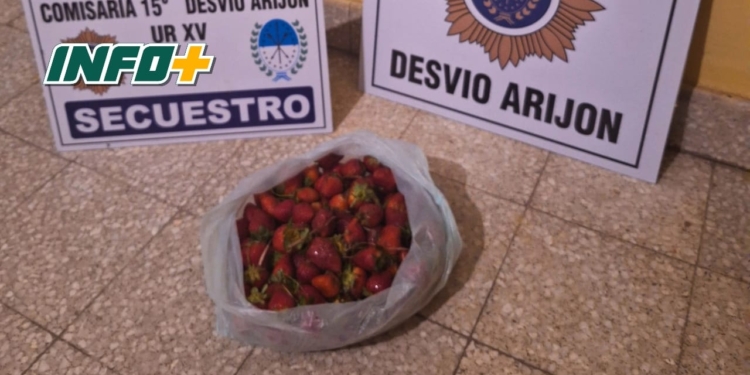 Robó frutillas y le gritó a la policía “no me van a agarrar”: terminó aprehendido