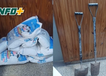 Robaron alimentos para terneros en Clason y fueron detenidos en San Genaro