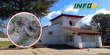 Las razones por las cuales los Samcos de la región no cuentan con suero antiofídico