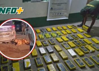 «Sasha», la perra de Gendarmería que encontró más de 100 kilos cocaína en Ruta 34