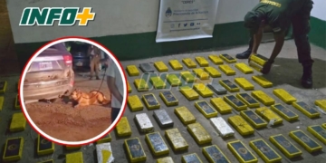 «Sasha», la perra de Gendarmería que encontró más de 100 kilos cocaína en Ruta 34