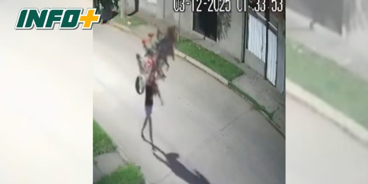 Detuvieron al ladrón que robó el árbol de Navidad de una parroquia en Beltrán