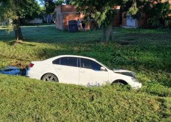 Un auto atropelló a un caballo y terminó dentro de un zanjón: el animal murió