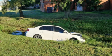 Un auto atropelló a un caballo y terminó dentro de un zanjón: el animal murió