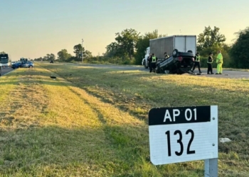 Un auto chocó a un caballo en autopista, volcó y su conductor murió