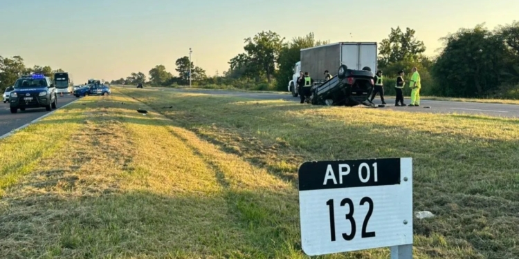 Un auto chocó a un caballo en autopista, volcó y su conductor murió
