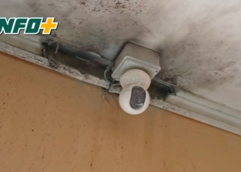 Susto en Timbúes por un incendio de vivienda: la policía logró extinguirlo