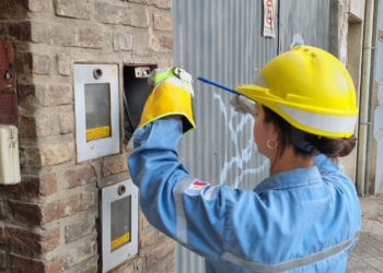 La EPE detectó casi 50 mil conexiones irregulares a la luz 