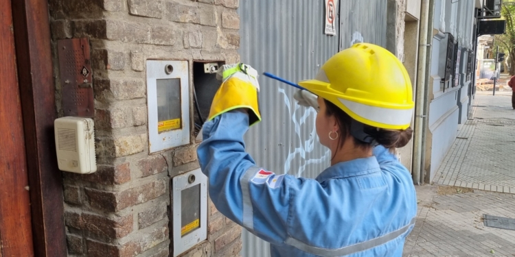 La EPE detectó casi 50 mil conexiones irregulares a la luz 