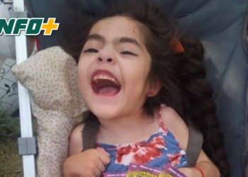 Todos por Abigail: gran fiesta solidaria con bandas en vivo en Andino