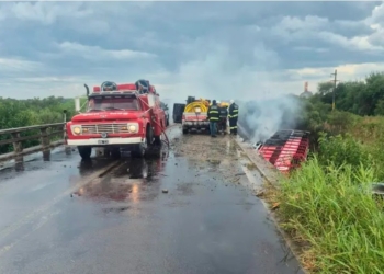 Volcó un camión de un frigorífico de Ricardone y murió su chofer