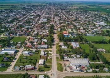 Tragedia en la región: murió un hombre atacado por avispas cuando viajaba con su familia