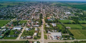 Tragedia en la región: murió un hombre atacado por avispas cuando viajaba con su familia
