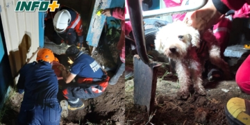 Bomberos de Totoras rescataron a un caniche que cayó a un pozo ciego