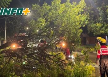 Temporal en Totoras: despiste en Ruta 34 y múltiples intervenciones de bomberos