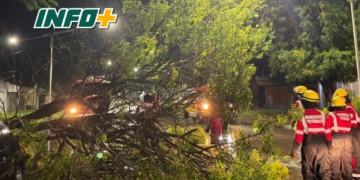 Temporal en Totoras: despiste en Ruta 34 y múltiples intervenciones de bomberos