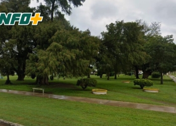 Carrizales fortalece su política ambiental con la aprobación del plan de arbolado