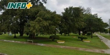 Carrizales fortalece su política ambiental con la aprobación del plan de arbolado