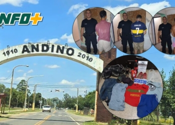 Robaron fernet, coca, cervezas y un vino en una panadería de Andino: tres aprehendidos