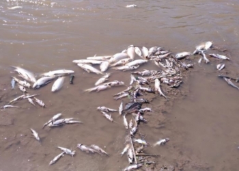 Oliveros y Pueblo Andino piden no pescar ni realizar actividades en el Río Carcarañá