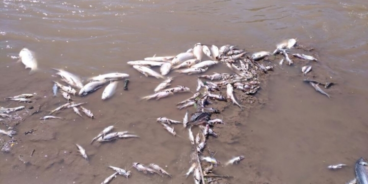 Oliveros y Pueblo Andino piden no pescar ni realizar actividades en el Río Carcarañá