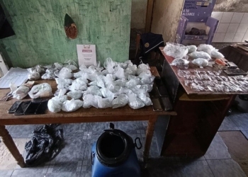 Operativo antidrogas en la región: incautaron 2700 dosis de cocaína y marihuana