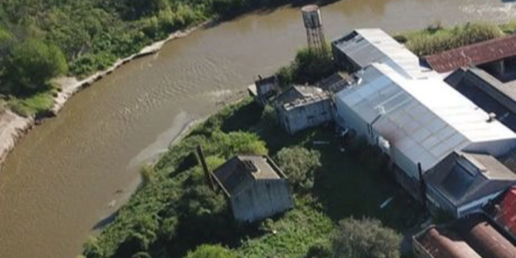 Robo en la fábrica papelera de Andino: denunciaron daños y faltantes en distintos sectores del predio