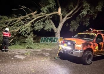Fuerte tormenta azotó la región durante la madrugada y dejó destrozos en Totoras