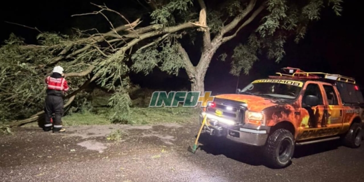 Fuerte tormenta azotó la región durante la madrugada y dejó destrozos en Totoras