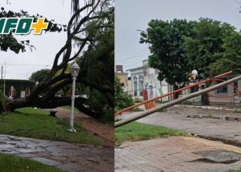 Fuerte tormenta en Correa: caída de árboles y postes, sin daños en viviendas