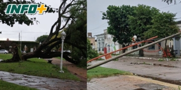Fuerte tormenta en Correa: caída de árboles y postes, sin daños en viviendas