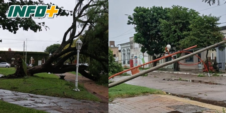 Fuerte tormenta en Correa: caída de árboles y postes, sin daños en viviendas