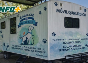 Maciel: turnos disponibles para la jornada de castración de perros y gatos