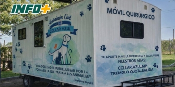 Maciel: turnos disponibles para la jornada de castración de perros y gatos