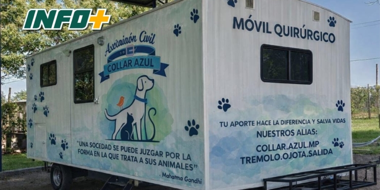 Maciel: turnos disponibles para la jornada de castración de perros y gatos