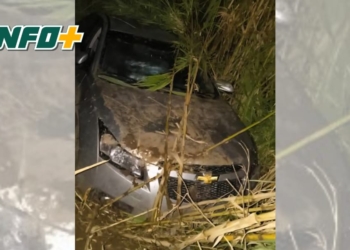 Robó a punta de pistola en Cañada de Gómez, huyó hacia Correa y despistó en Carcarañá