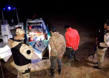 Detuvieron a dos hombres de Puerto Gaboto por cuatrerear vacas en la isla